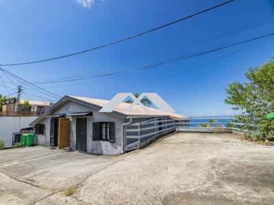 Vente Immeuble PETITE-ILE 97429