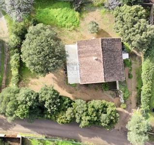 Vente Maison 3 pi�ces SAINTE-LUCIE-DE-PORTO-VECCHIO 20144