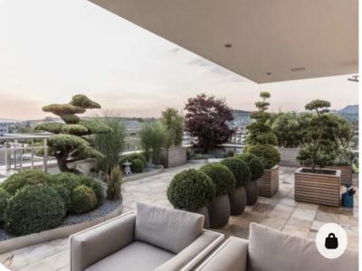 Vente Appartement 5 pi�ces VILLEURBANNE 69100