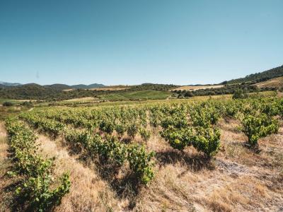 Vente Terrain CASCASTEL-DES-CORBIERES 11360