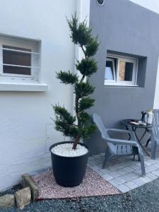 Vente Maison 3 pi�ces TEMPLE-DE-BRETAGNE 44360