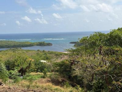 Vente Terrain MARIN 97290