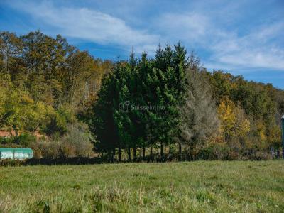 Vente Terrain CHAMPAGNEY 70290