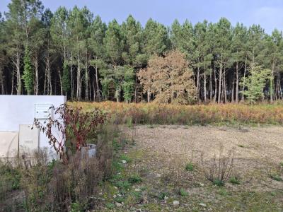 Vente Terrain SAINT-MARTIN-D'ONEY 40090