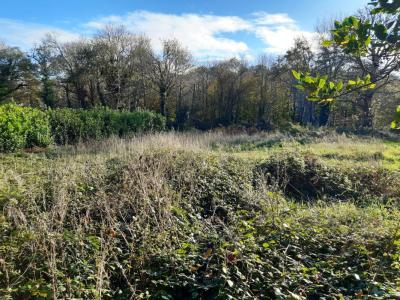 Vente Terrain LANDUDEC 29710