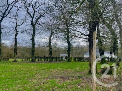 Vente Terrain BOURTHES 62650