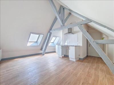 Location Appartement PUISEAUX 45390