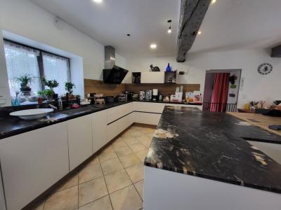 Vente Maison 9 pi�ces VILLARS-LES-DOMBES 01330