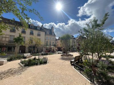 Location Appartement 3 pi�ces DIJON 21000