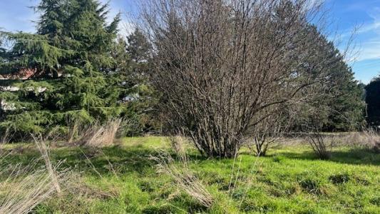 Vente Terrain BOULIEU-LES-ANNONAY 07100