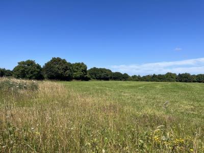 Vente Terrain CHOLET 49300