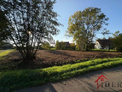 Vente Terrain FONTAINEBRUX 39140
