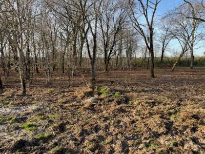 Vente Maison 4 pi�ces BIGANOS 33380