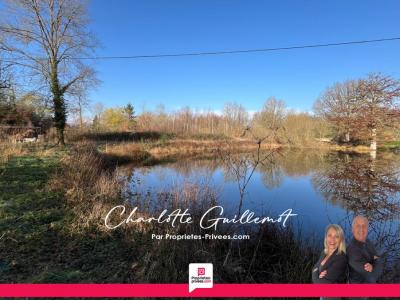 Vente Terrain LANGON 41320