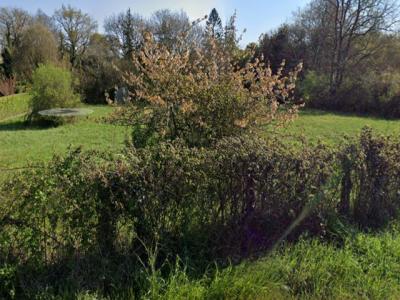 Vente Terrain QUINSAC 33360