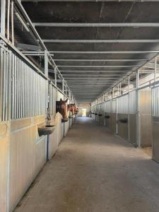 Vente Immeuble SURZUR 56450