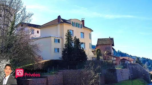 Vente Maison 14 pi�ces BOURG-DE-THIZY 69240
