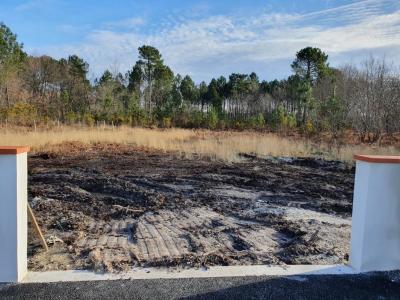 Vente Terrain CASTELNAU-DE-MEDOC 33480