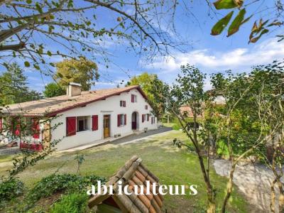 Vente Maison 8 pi�ces TILH 40360