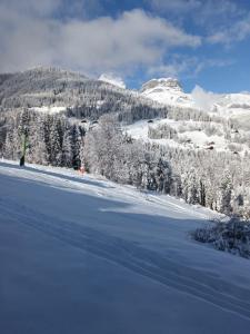 Vente Appartement 2 pi�ces CORDON 74700