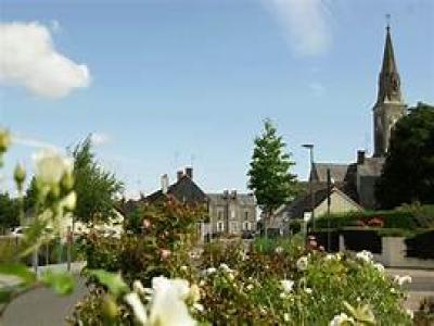 Vente Terrain SAINT-AUGUSTIN-DES-BOIS 49170