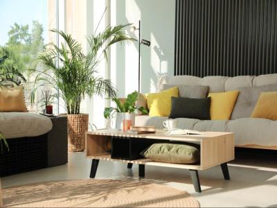 Vente Appartement 2 pi�ces SANGUINET 40460