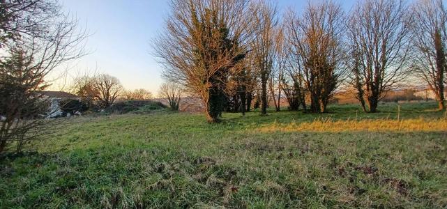 Vente Terrain FONTENAY-LE-COMTE 85200