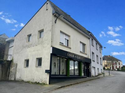 Vente Immeuble SAINT-JEAN-BREVELAY 56660