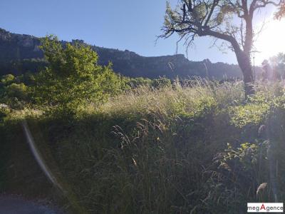 Vente Terrain FLORAC 48400