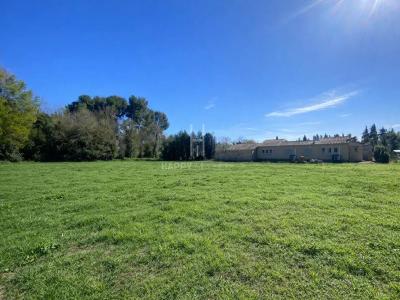 Vente Terrain MAUSSANE-LES-ALPILLES 13520