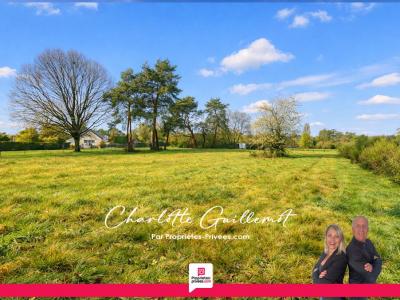 Vente Terrain VILLEFRANCHE-SUR-CHER 41200