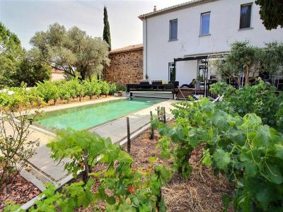 Vente Prestige SAINT-ANDRE-DE-ROQUELONGUE 11200