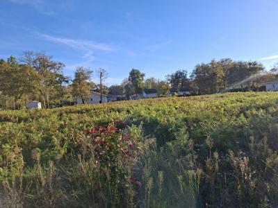 Vente Terrain BAS-MAUCO 40500