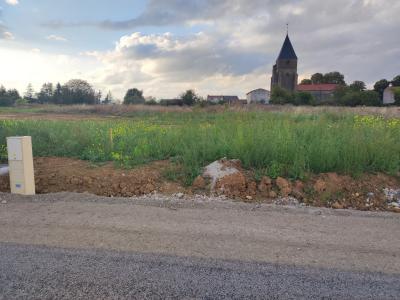 Vente Terrain SAINTE-BARBE 57640