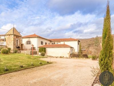 Vente Prestige PERREON 69460