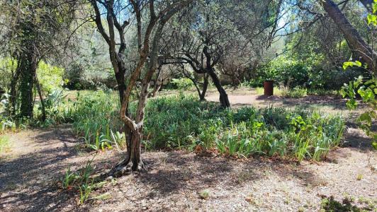 Vente Terrain NIMES 30000