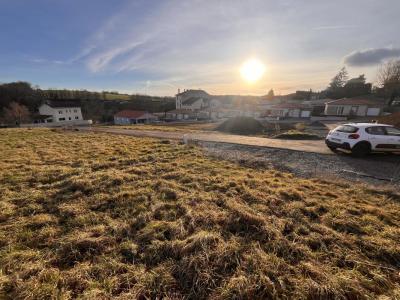 Vente Terrain CHAZELLES-SUR-LYON 42140