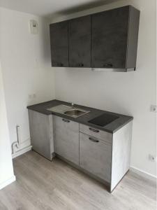 Location Appartement ECHIROLLES 38130