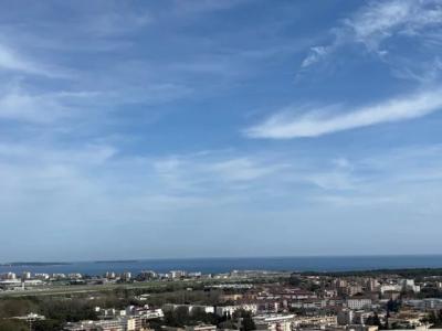 Location Appartement 2 pi�ces MANDELIEU-LA-NAPOULE 06210