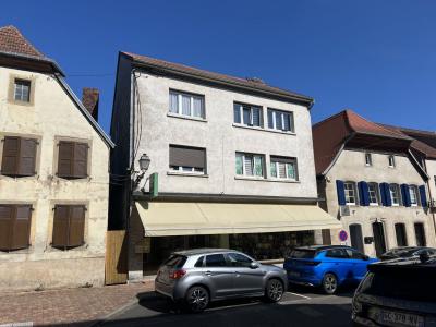 Vente Immeuble SARRALBE 57430