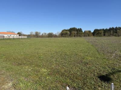 Vente Terrain SAINT-LAURE 63350
