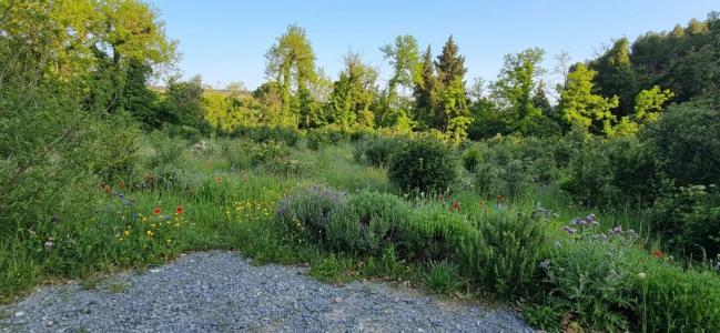 Vente Terrain BEDARRIDES 84370