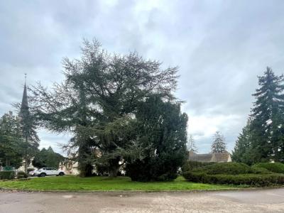 Location Maison 2 pi�ces LONGCHAMP 21110