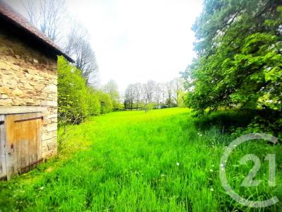 Vente Terrain VICQ-SUR-BREUILH 87260
