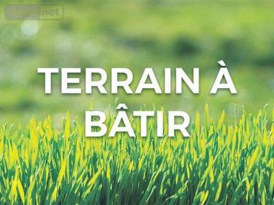 Vente Terrain HERMONVILLE 51220