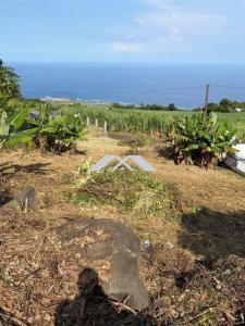 Vente Terrain SAINT-LEU 97424