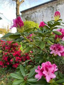 Vente Maison 8 pi�ces VANNES 56000