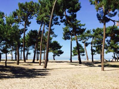 Vente Terrain ANDERNOS-LES-BAINS 33510