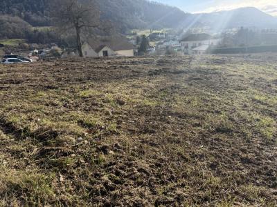 Vente Terrain SAINT-BERON 73520