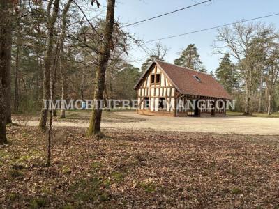 Vente Prestige LAMOTTE-BEUVRON 41600